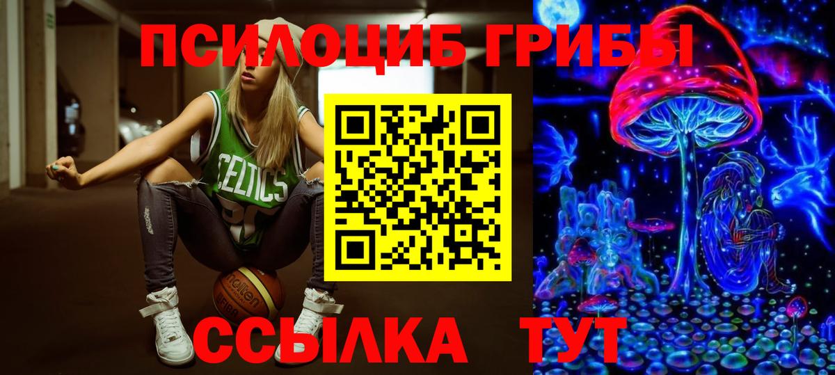 Галлюциногенные грибы Cubensis Кемерово